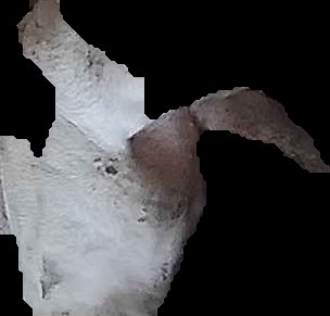 Crop
