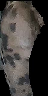 Crop