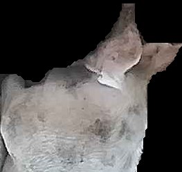 Crop