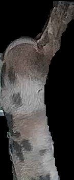 Crop