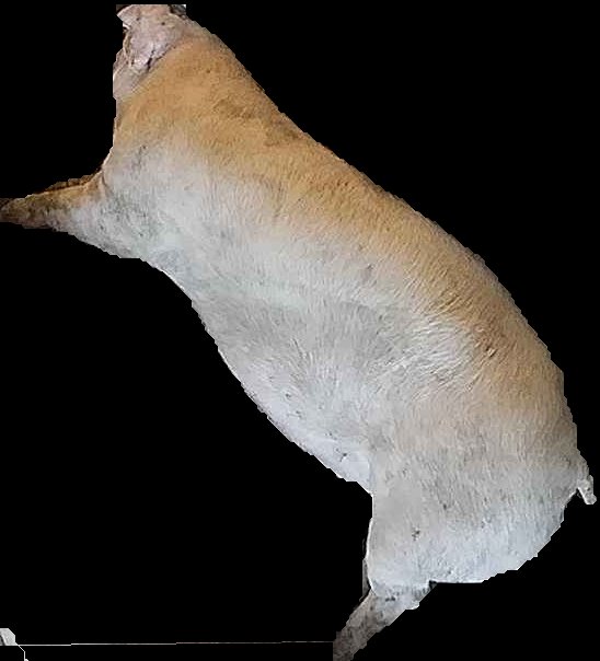 Crop