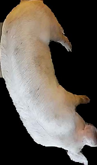 Crop
