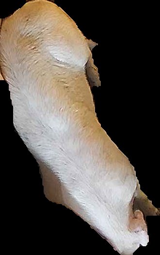 Crop