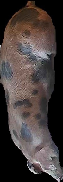 Crop