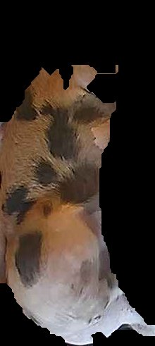 Crop