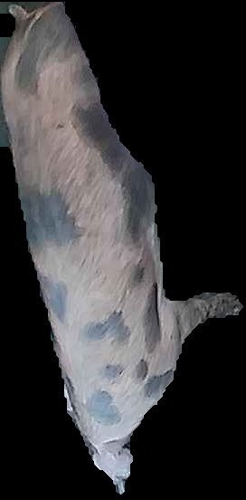 Crop