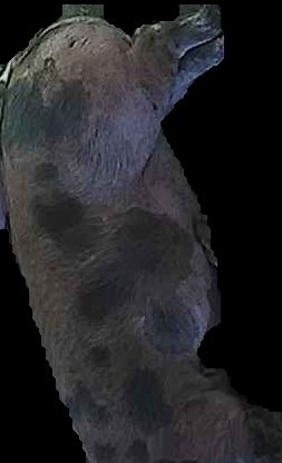 Crop