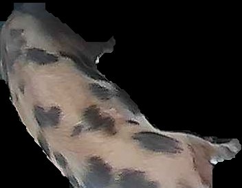 Crop
