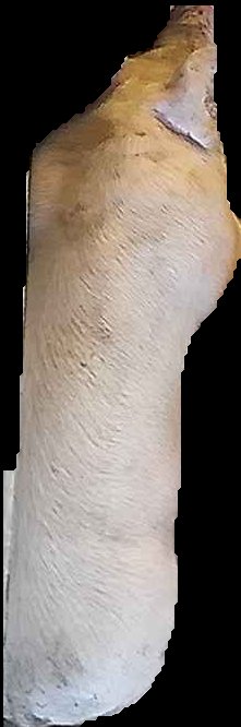 Crop