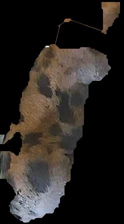 Crop