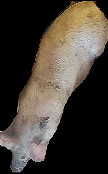 Crop