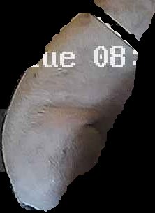 Crop