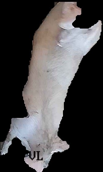 Crop