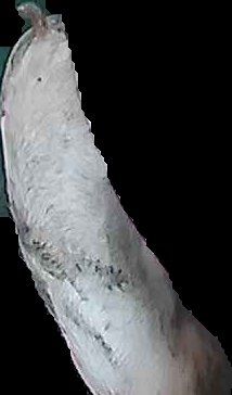 Crop