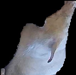 Crop