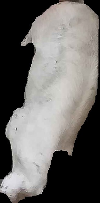 Crop