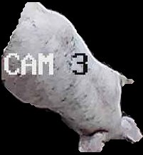 Crop