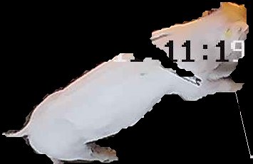 Crop