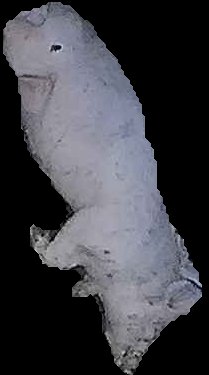 Crop