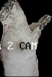 Crop