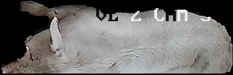 Crop