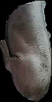 Crop