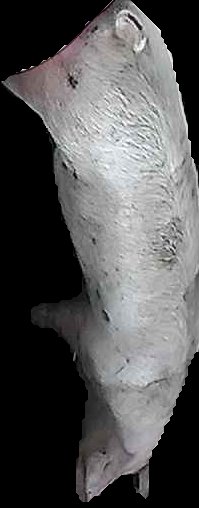 Crop
