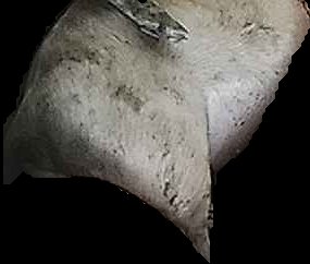 Crop