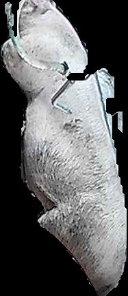 Crop