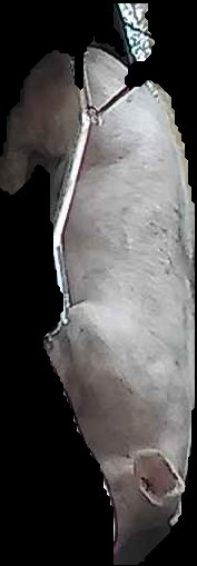 Crop