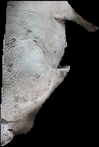 Crop