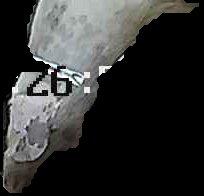 Crop
