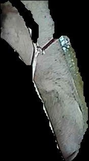 Crop