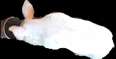 Crop