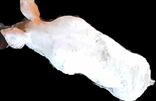 Crop