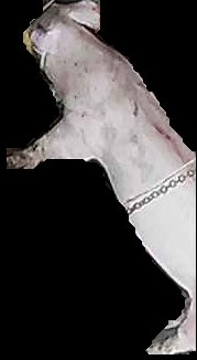 Crop