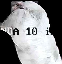 Crop