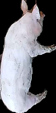 Crop