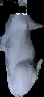 Crop