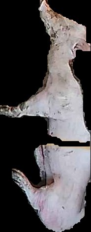 Crop