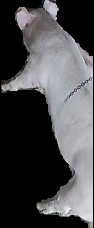 Crop