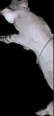 Crop