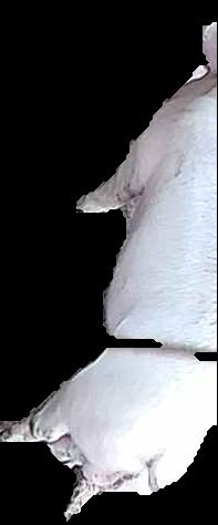 Crop