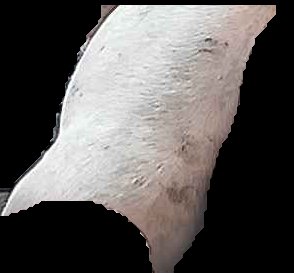 Crop