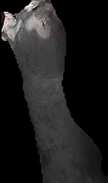 Crop