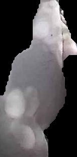 Crop