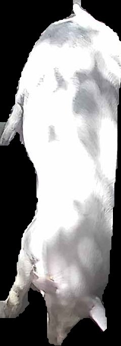 Crop