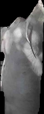 Crop