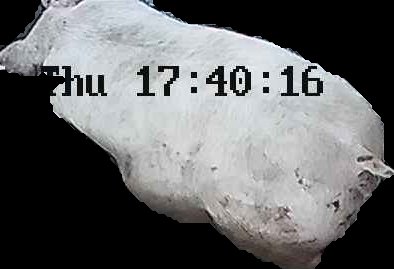 Crop