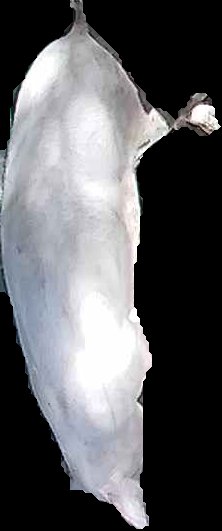 Crop